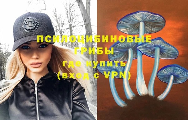 экстази Сатка