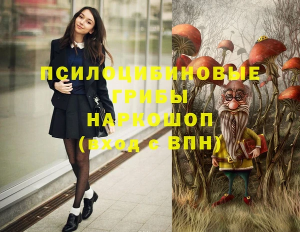 гидропоника Саяногорск