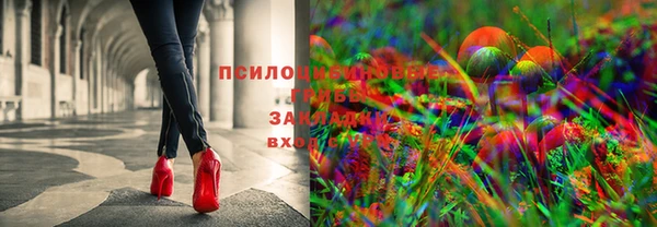 гидропоника Саяногорск